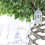 Foglie D' Acqua Bisceglie