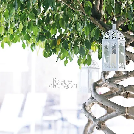 Foglie D' Acqua Bisceglie