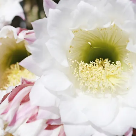 Foglie D' Acqua Bed & Breakfast