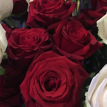 Bed & Breakfast Foglie D' Acqua