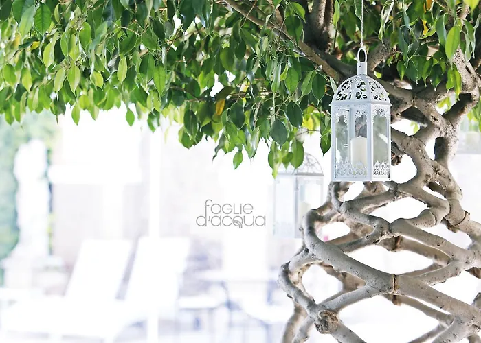 Foglie D' Acqua Bisceglie